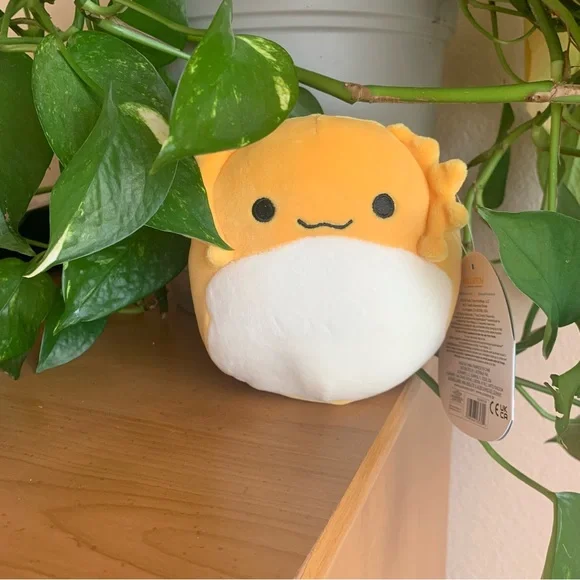 5” Bertwin the Bearded Dragon | Squishmallows - Picture 4 of 5